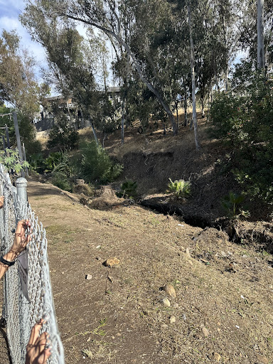 Photo from customer review